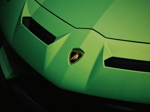 carwrap